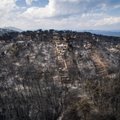 FOTOD | Kreeka maastikupõlengus hukkunute arv on tõusnud 79-ni