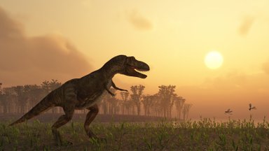 Uuring: maailmas on elanud 2,5 miljardit türannosaurust