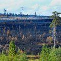 Unisest Lapimaa linnakesest sai Rootsi metsapõlengute eesliin