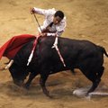 Hispaania tahab härjavõitlusele kultuurilise eristaatuse anda