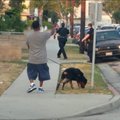 ВИДЕО: Снимавшего на телефон полицейскую операцию мужчину арестовали, а его собаку застрелили