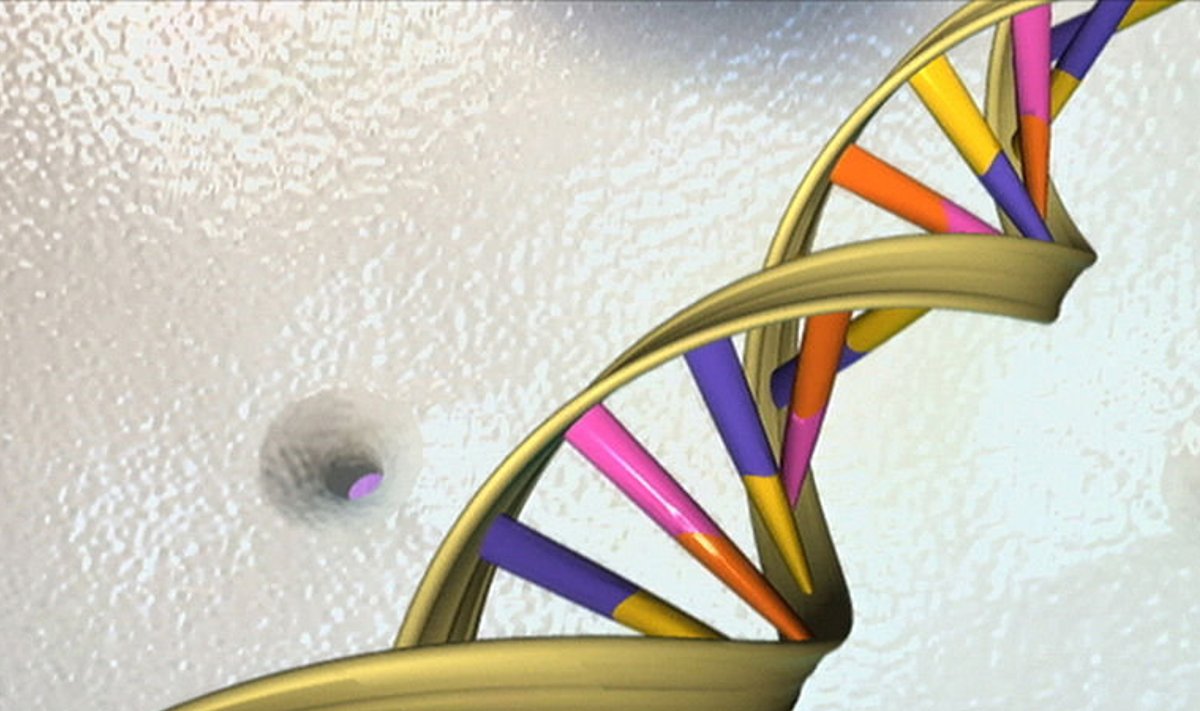 Foto: Wikimedia Commons / USA riiklik inimese genoomi uurimise instituut