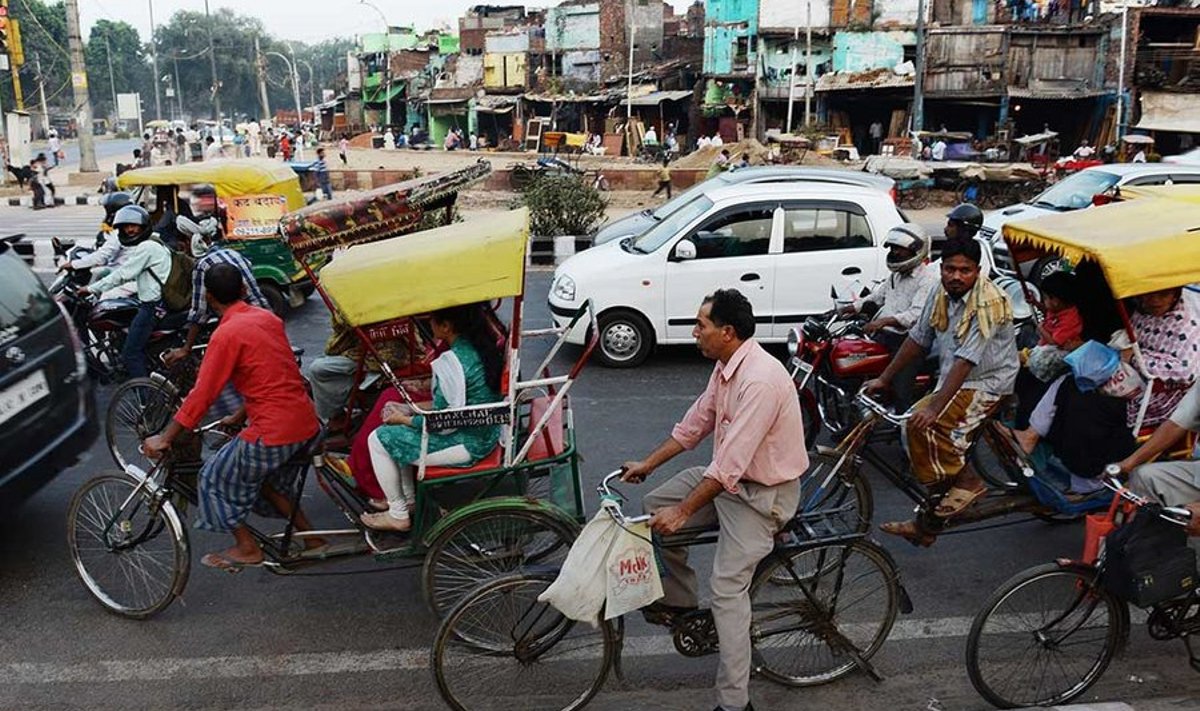 Delhi ratturi Sushil Kumariga arvestavad autojuhid isegi vähem kui lehmadega.
