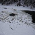 FOTOD SÜNDUSKOHALT | Pirita jõel jääauku sukeldumisel kadunuks jäänud meest pole veel leitud, otsingutele võetakse appi tuukrid