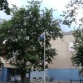 LUGEJA FOTO ja VIDEO | Jõhvi kooli õuel lehvis tagurpidi Eesti lipp