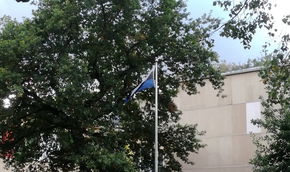 Tagurpidi Eesti lipp Jõhvi kooli õuel
