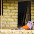 Euroopa Liit toetab ebolavastast võitlust Lääne-Aafrikas miljardi euroga