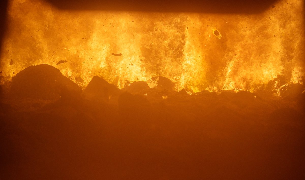 Enamus Eestis tekkinud biojäätmetest põletatakse Iru soojuselektrijaamas.