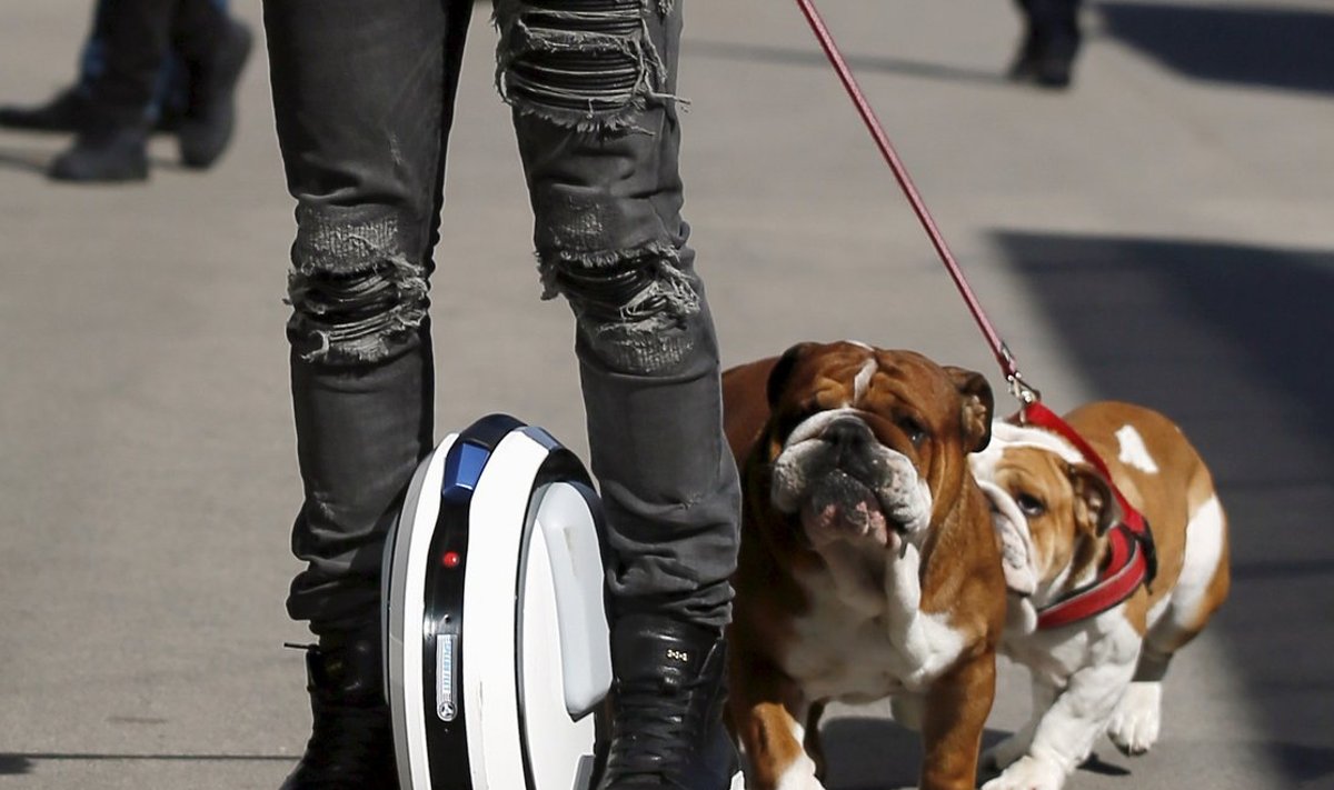 Lewis Hamilton ja tema kuulsad koerad