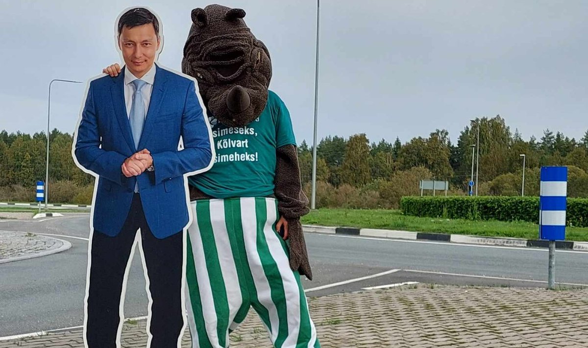 Носорог с картонной фигурой Михаила Кылварта, Пайде, 10.09.2023