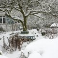 Uueks aiahooajaks tehke plaane talvel