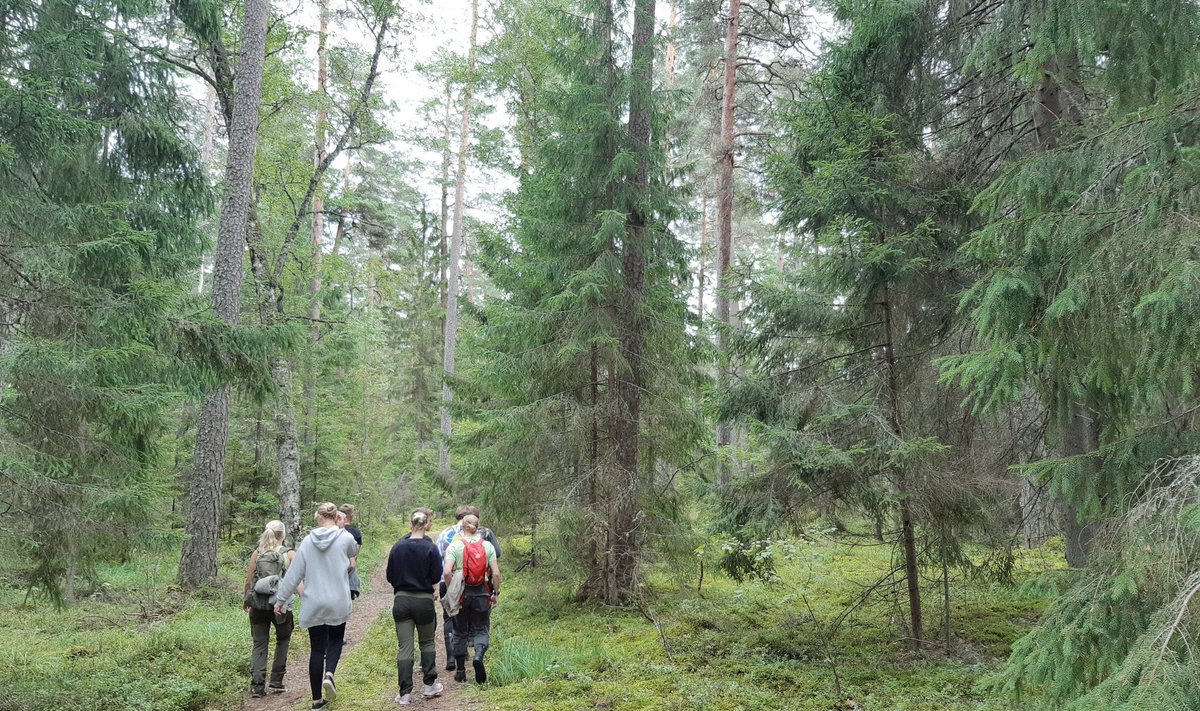 Noorte metsavõistlustel olid lisaks viktoriinile ka harjutused vabas õhus.