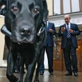 ГРАФИК: Путин и Меркель, не считая собаки. Как президент РФ демонстрирует власть