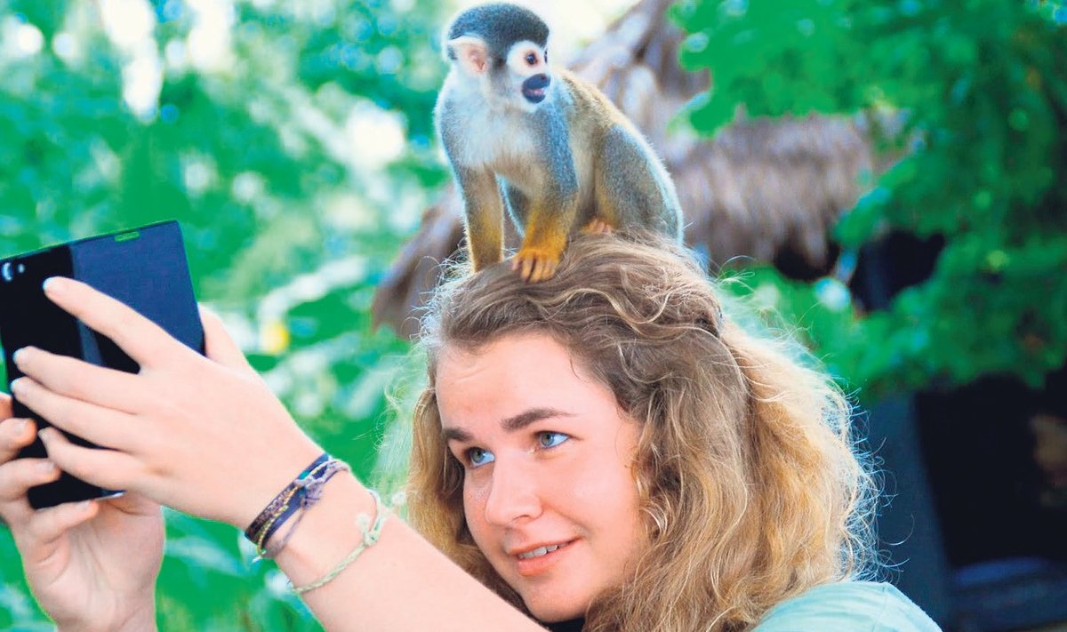 Bioloogiaõpetaja tütrena tunneb Liisi looduse vastu suurt huvi. Ja vist ka vastupidi. Foto Amazonase saimiriga.