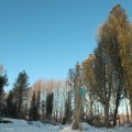 FOTOD: Veider paik Eestis - Nasval asuv "puude surnuaed"