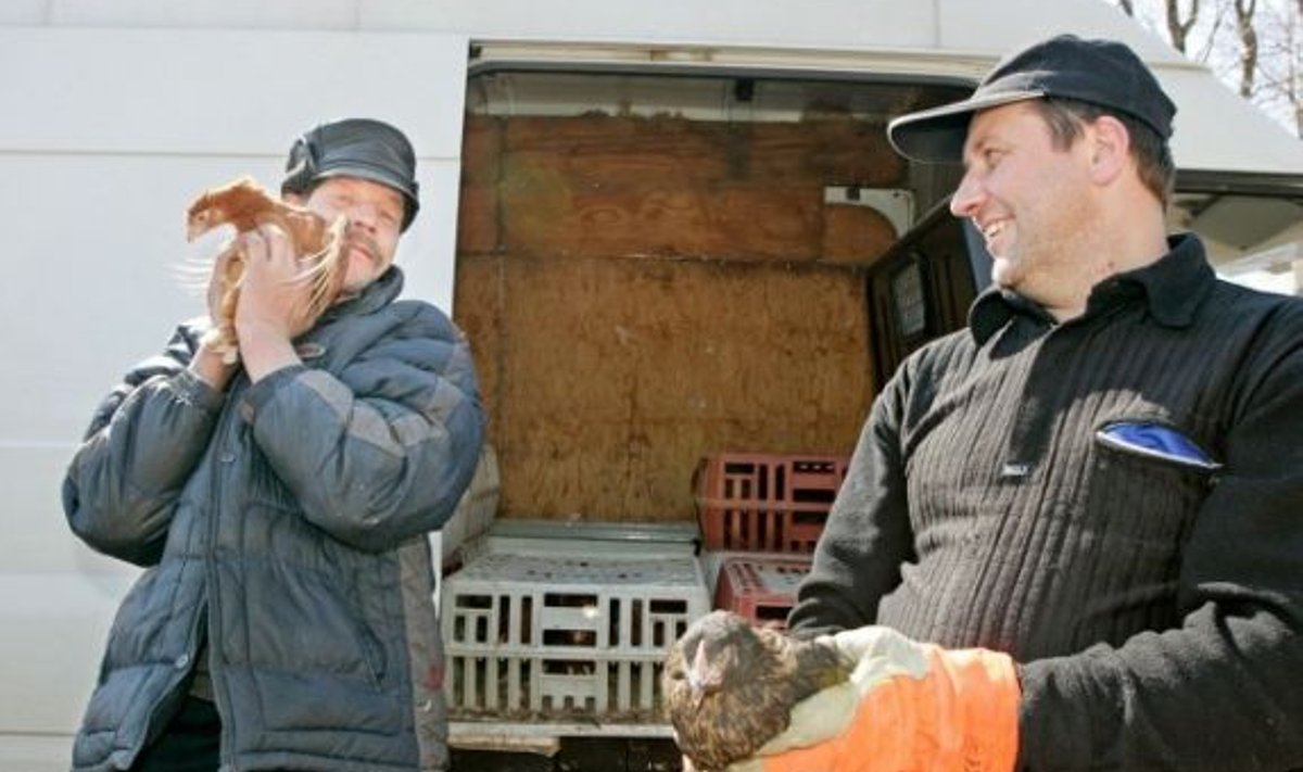 Kanamüügiautost kirjutas Maaleht ka aasta tagasi. Toona ostis Sõmerpalu elanik Vassili Šapurko ostis OÜ Äntu Mõisa töötajalt Tarmo Jürgensilt kümme kana ja ühe kuke.