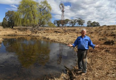 Austraalias New South Walesis elav karjapidaja Gordon Youman oma farmi juures asuvat veevaru üle vaatamas.(Foto: AFP)