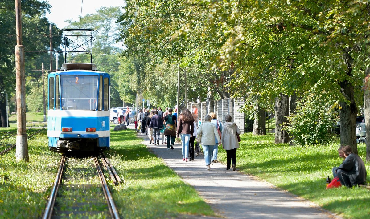 Jalutaja leiti Tallinnas Koplis.