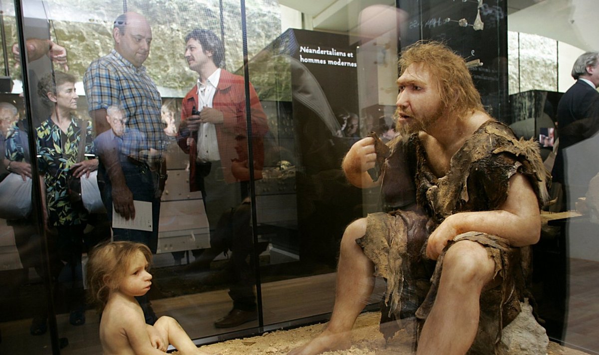 Muuseumikülastajad imetlevad neandertallaste, mehe ja poisi, kujusid. (Foto: AFP)