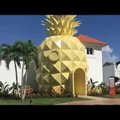 VIDEO: Kes elab vee all ananassi sees? Käsna-Kalle fännid saavad nüüd ananassikujulises hotellis ööbida