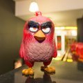 Создатель Angry Birds научит эстоноземельцев, как развивать свой бизнес