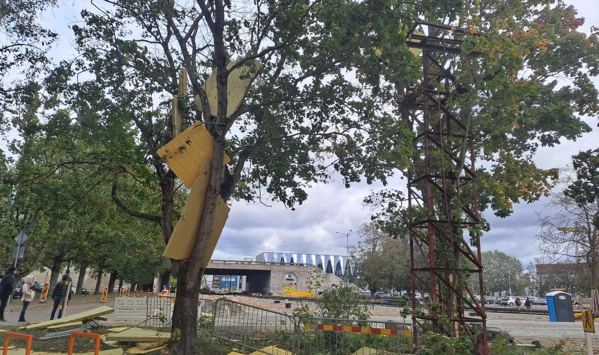 „Kuidas me need katusesoojustusmaterjalid sealt puu otsast kätte saame, peame veel nuputama. Igal juhul avame maja kolmapäeval taas avalikkusele,“ kinnitab Kadi Kesküla.