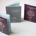 Большинство новых граждан ЭР раньше имели "серые" паспорта
