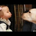 BEEBIVIDEO: koerad ja beebid oskavad omavahel rääkida küll! Ja kuidas veel!