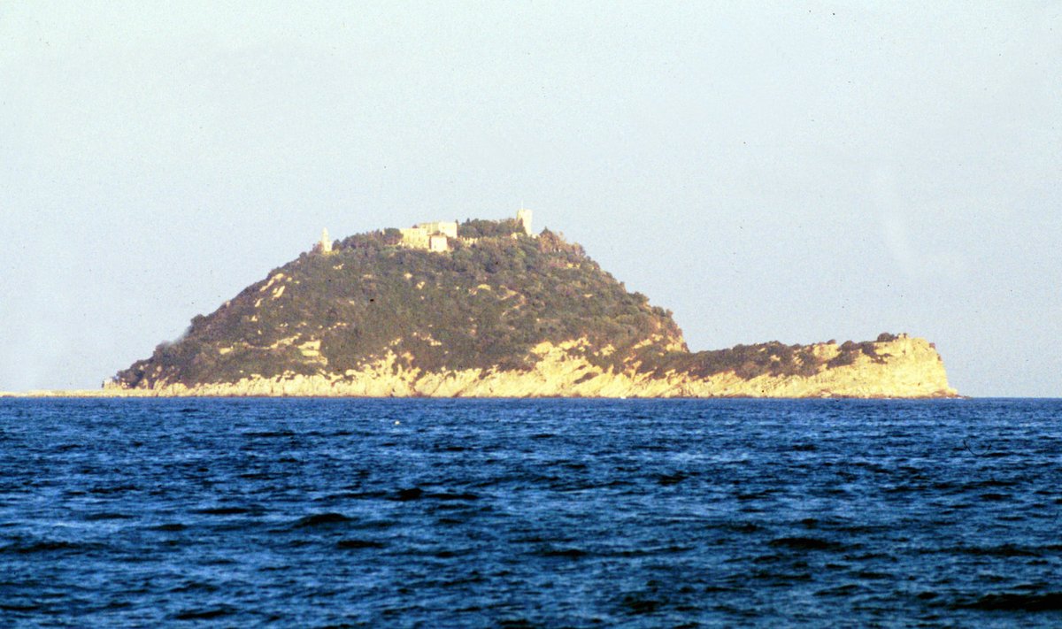 Gallinara saar