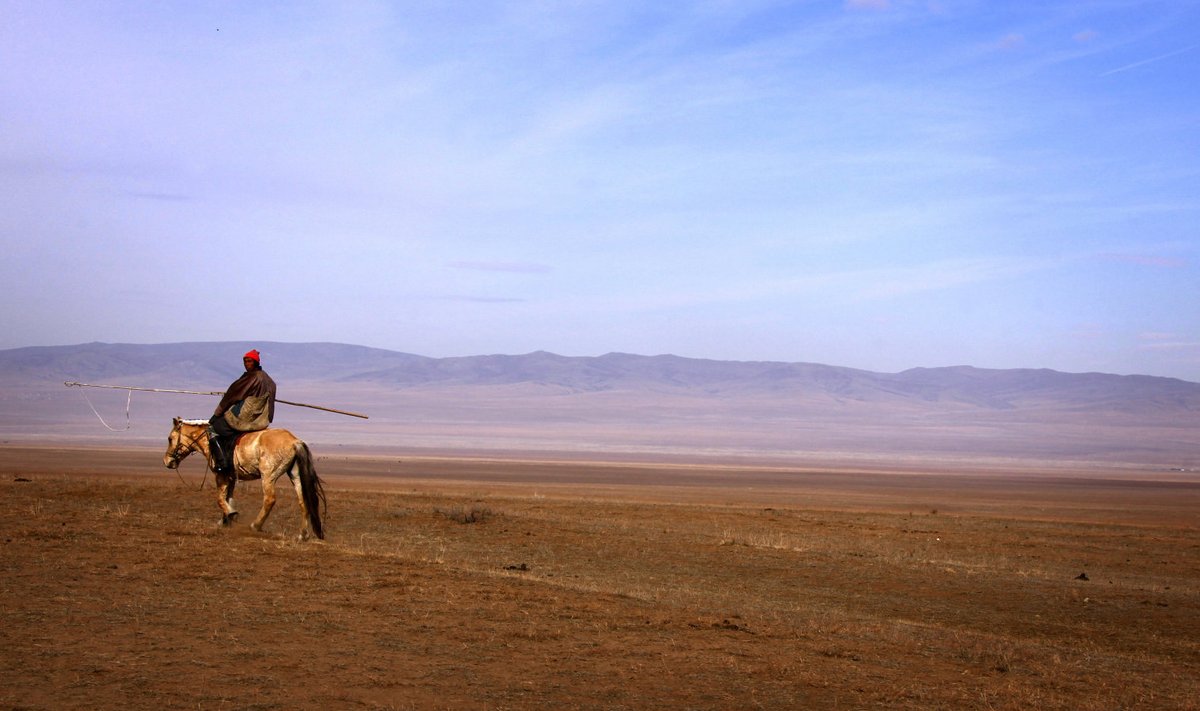 Mongoli ratsanik. Foto on illustratiivne.
