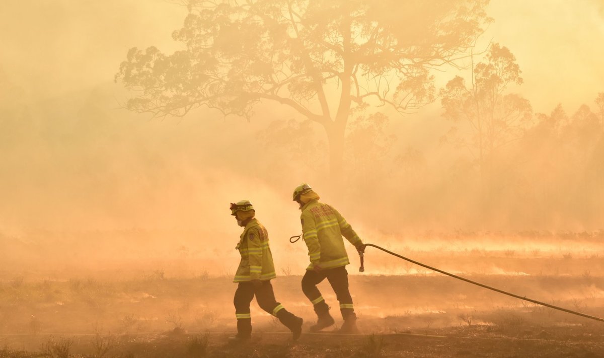 Tuletõrjujad New South Walesi osariigis
