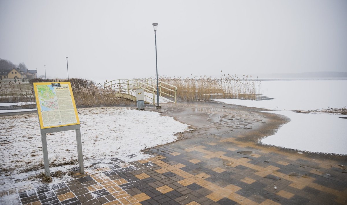 Tamula järv ajas märtsikuu lõpus üle kallaste.