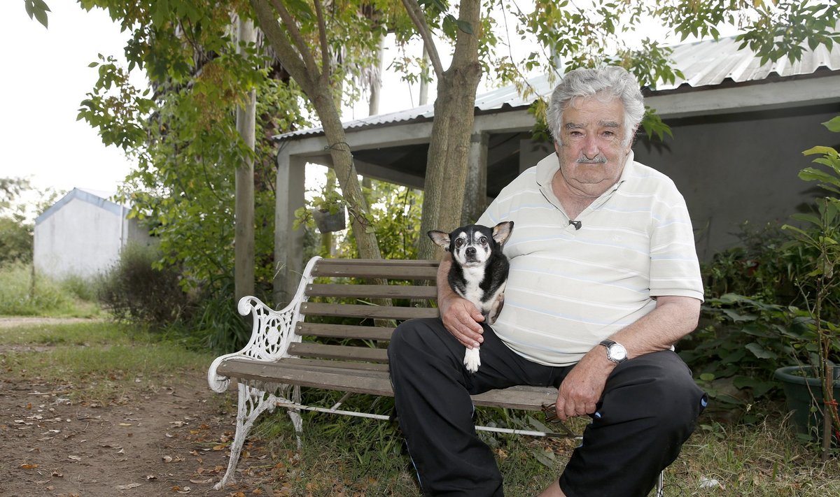 Uruguai president Jose Mujica koos koera Manuelaga. 