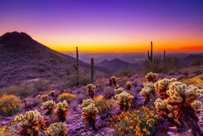 Scottsdale, USA