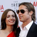 Bradi ja Angelina tüli kisub tuliseks: Jolie loodud firma kaebas Bradi tohutult suure summa eest kohtusse 
