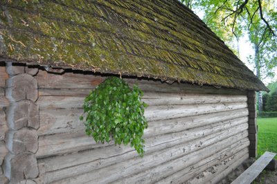 Karilatsi muuseumi suitsusaun ja oh-kui-imeliselt säravad värsked saunavihad.