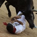 FOTOD: Pamplona kaheksa härjajooksu viisid haiglasse kokku 38 inimest