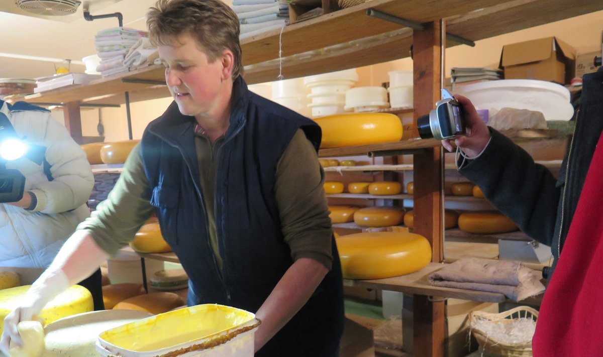 Marleen de Groot teeb oma farmi meiereis juuste, mis kaaluvad  300 grammist 16 kiloni.