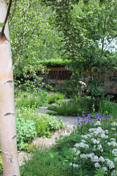 Best Show Garden „Muscular Dystrophy UK – Forest Bathing Garden“, disain Ula Maria. Chelsea Flower Show 2024. 