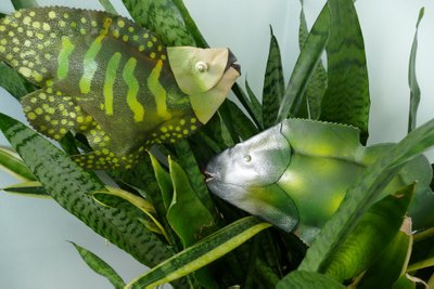 Toalillede keskele asetatud kalad tekitavad akvaariumi efekti.