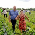 SUUR GALERII | Kuidas minister Aller koos maasikakasvatajaga mööda peenravahesid kalpsas