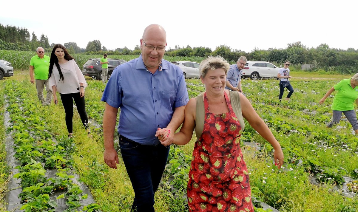 Maaeluminister Arvo Aller ja maasikakasvataja Janika Lindsalu käsikäes marjapõllul