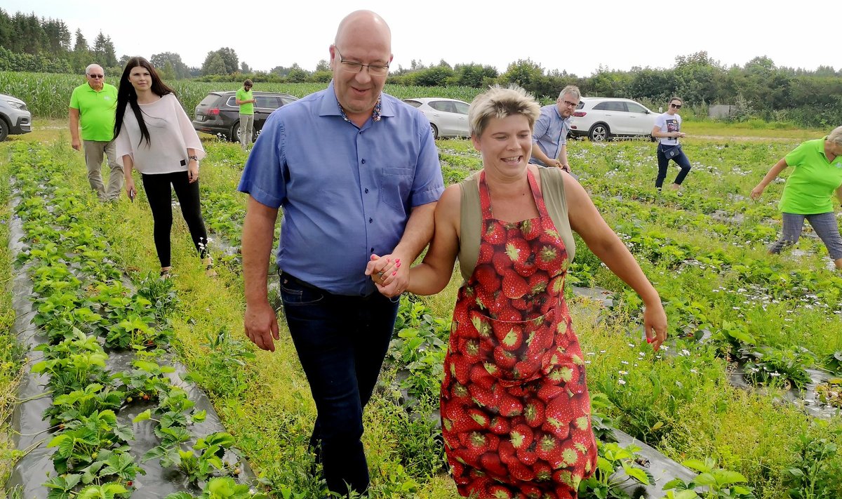 Maaeluminister Arvo Aller ja maasikakasvataja Janika Lindsalu käsikäes marjapõllul