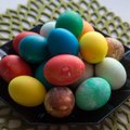 SUUR LIHAVÕTTESPIKKER | kõige vajalikumad nipid munade keetmiseks, 100 erinevat võimalust munade värvimiseks ja parimad munaretseptid
