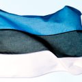 Täna on emakeelepäeva puhul Eestis lipupäev