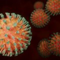 "Вызывает беспокойство". Российский штамм коронавируса распространился по Европе и США