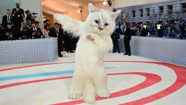 ФОТО | Костюм... кошки?! На Met Gala некоторые знаменитости оделись, как любимый питомец Карла Лагерфельда