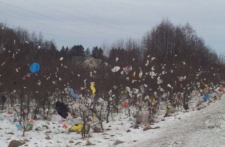 Такую картину можно было наблюдать зимой 2014 года в Алитусском районе Литвы. "Пластиковый шторм" из сотен пакетов с бывшей свалки.