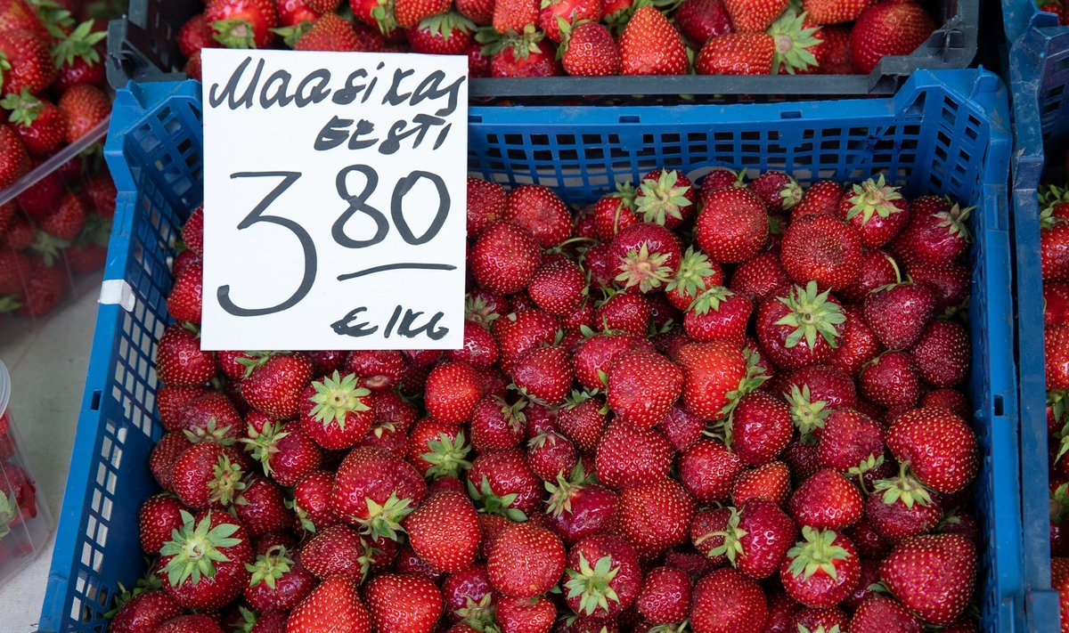 On kohalikud maasikad või mitte? Seda kontrollitakse pisteliselt.