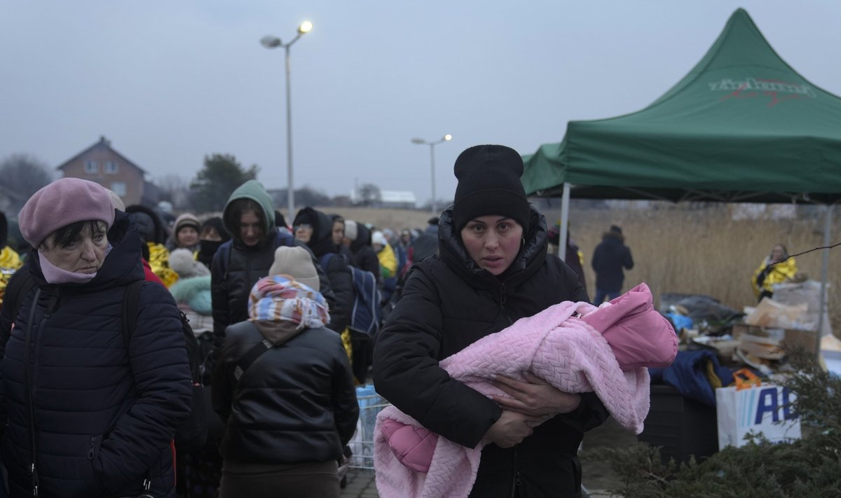 Ukraina piiri ületavad iga päev tuhanded sõjapõgenikud. Osa neist jõuab ka Eestisse.